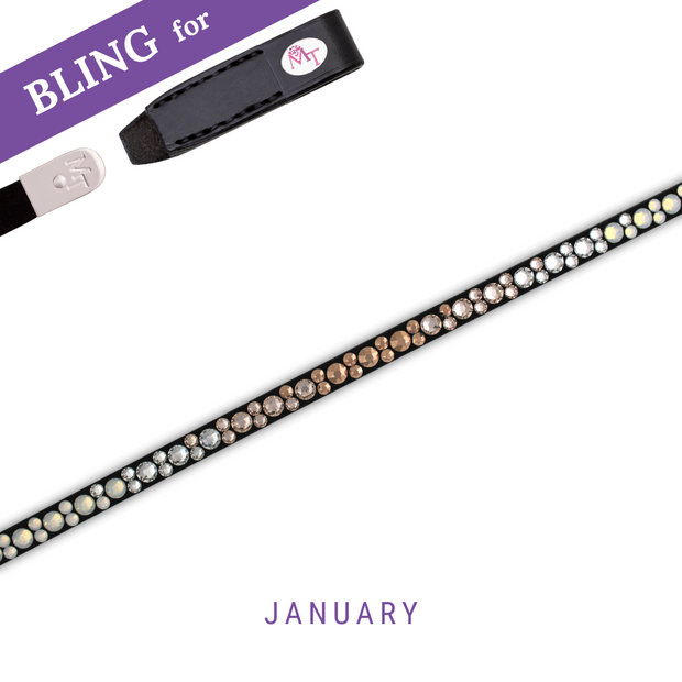 January Stirnband Bling Classic