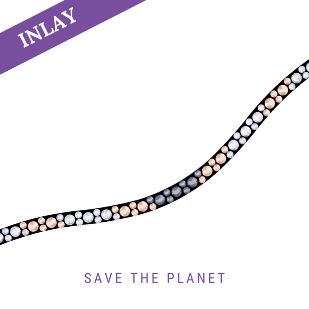 Save the Planet Inlay Swing